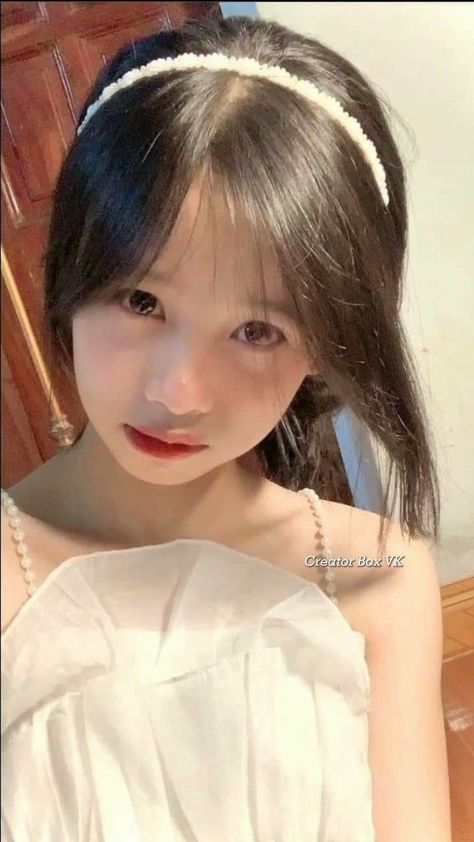 食物链完整版